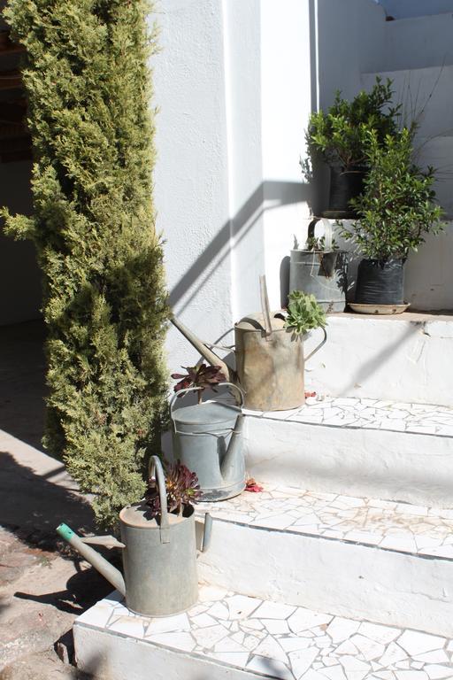 Cape Karoo Guesthouse Beaufort West Zewnętrze zdjęcie
